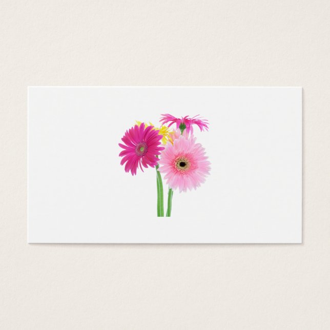 Gerbera Daisies (Devant)