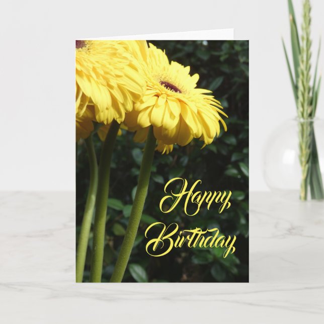 "Gerbera Daisies 1." Carte de voeux d'anniversaire (Devant)