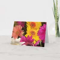 Gerbera Daisies Birthday Card Template