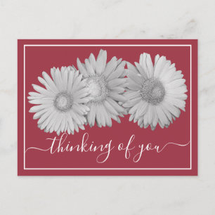 Gerbera Daisies Blush Hintergrund Postkarte