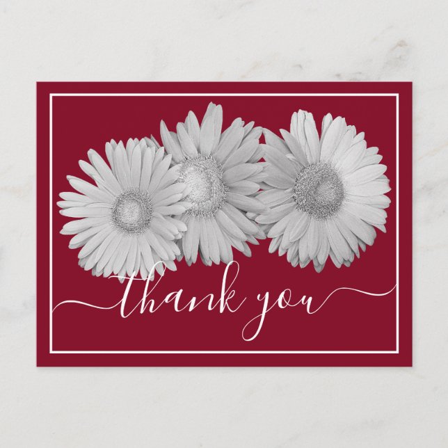 Gerbera Daisies Crimson Hintergrund Danke Postkarte (Vorderseite)