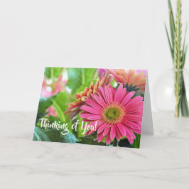Gerbera Daisies Grußkarte Karte