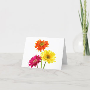 Gerbera Daisies Karte