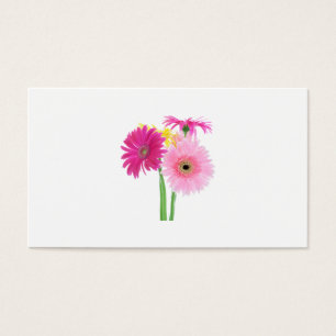 Gerbera Daisies Pink