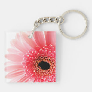 Gerbera Daisy