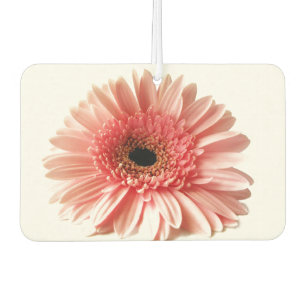 Gerbera Daisy Autolufterfrischer