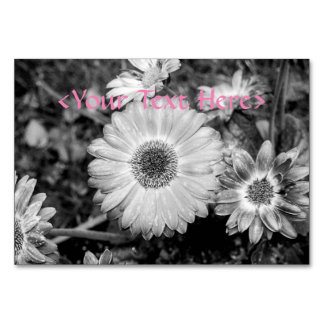 Gerbera Daisy Black & White Fotograf Tischnummer