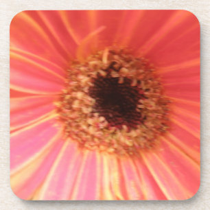 Gerbera Daisy Blume Cork Untersetzer