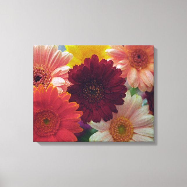 Gerbera Daisy Blume Foto Leinwand Wine tasting (Vorderseite)
