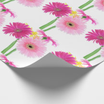 Gerbera Daisy Blume