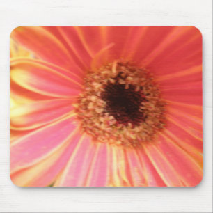 Gerbera Daisy Blume Mousepad
