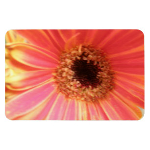Gerbera Daisy Blume Premium Magnet