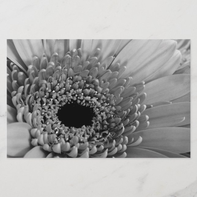 Gerbera Daisy Briefpapier (Vorderseite)