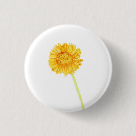 Gerbera daisy button