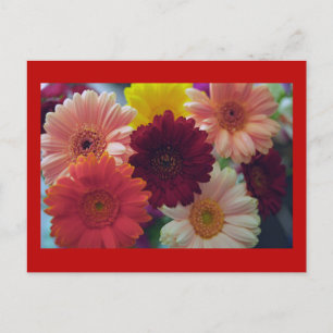 Gerbera Daisy Carte postale de l'art de la fleur