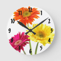 Gerbera Daisy Delight