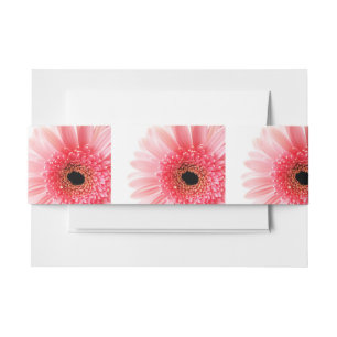 Gerbera Daisy Einladungsbanderole