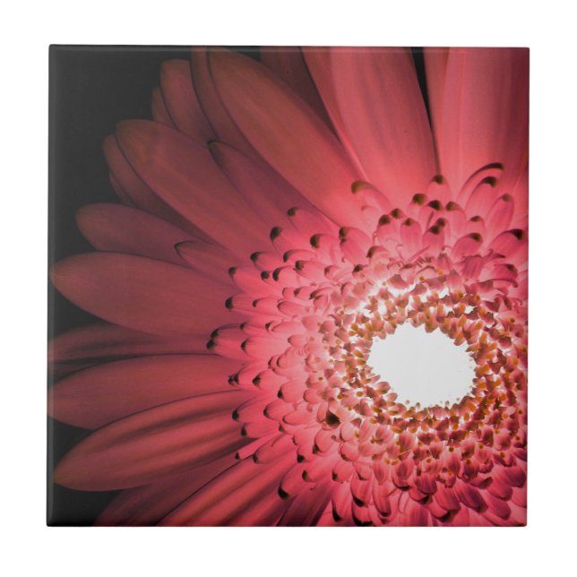 Gerbera Daisy Fliese (Vorderseite)