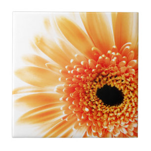 Gerbera Daisy Fliese