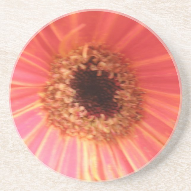 Gerbera Daisy Flower Coasters Untersetzer (Vorne)