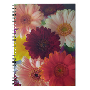 Gerbera Daisy Flower Photo Art Journal Carnet