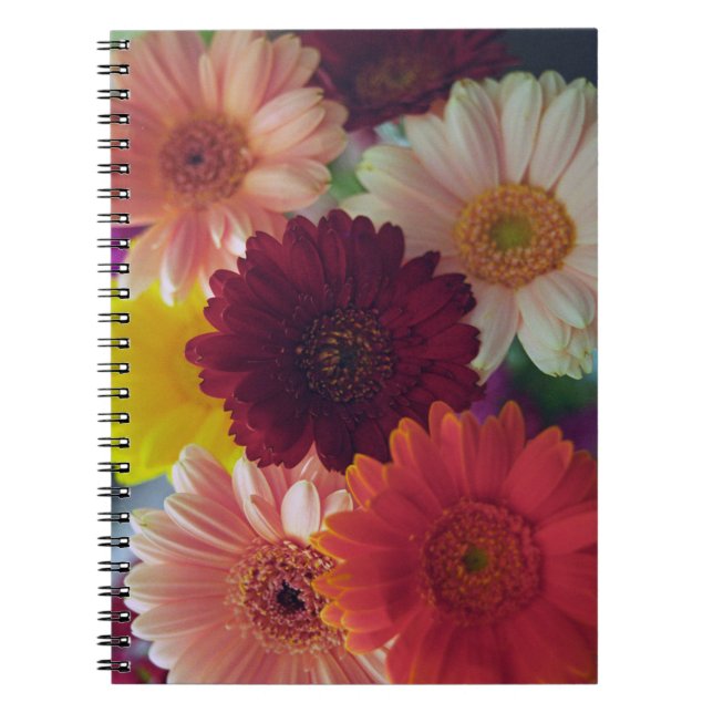 Gerbera Daisy Flower Photo Art Journal Carnet (Devant)