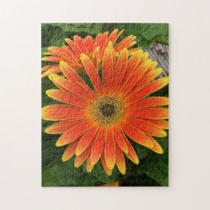 Gerbera Daisy Flower Puzzle