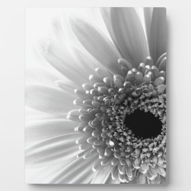 Gerbera Daisy Fotoplatte (Vorderseite)