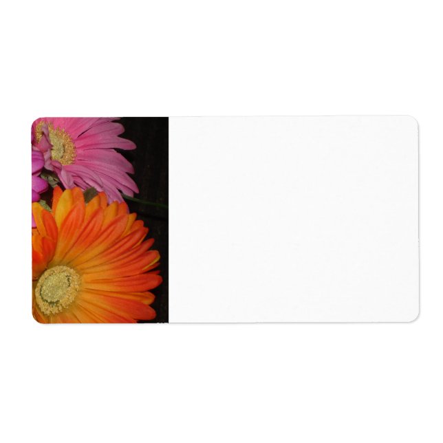 Gerbera Daisy Garden (Vorne)