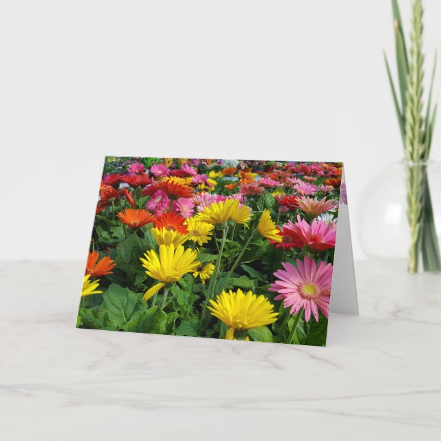 Gerbera Daisy Garden Mother Day Karte (Vorderseite)