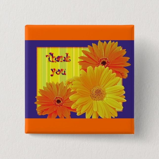 Gerbera Daisy (Gerbera hybrida) - Gelb Button (Vorderseite)