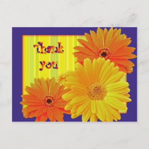 Gerbera Daisy (Gerbera hybrida) - Gelb Postkarte