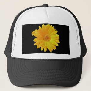 Gerbera Daisy (Gerbera hybrida) - Gelb Truckerkappe