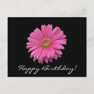 Gerbera Daisy Happy Birthday Postcard Postkarte