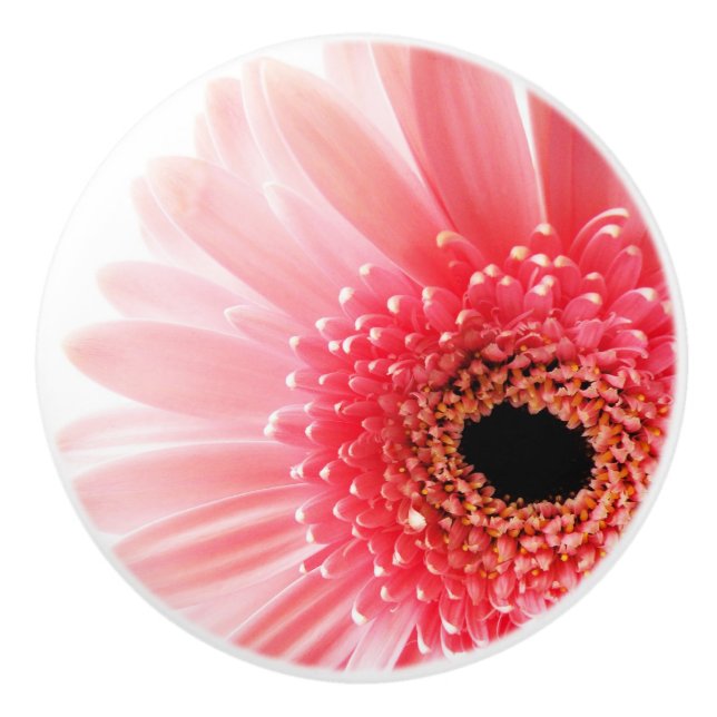 Gerbera Daisy Keramikknauf (Vorderseite)