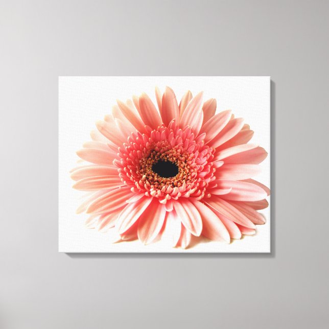 Gerbera Daisy Leinwanddruck (Vorderseite)