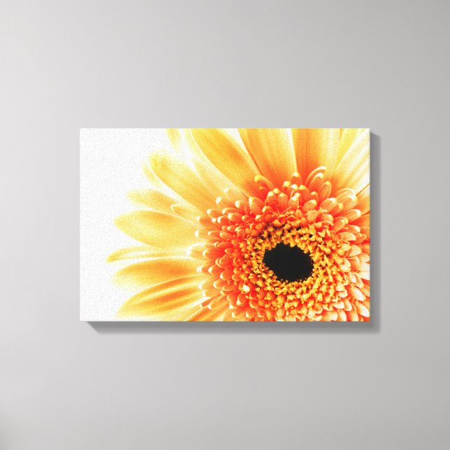 Gerbera Daisy Leinwanddruck (Vorderseite)