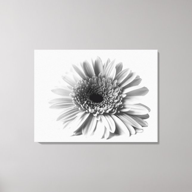 Gerbera Daisy Leinwanddruck (Vorderseite)