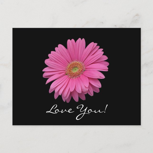 Gerbera Daisy Liebe You Postcard Postkarte (Vorderseite)
