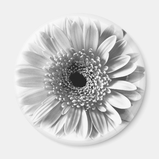 Gerbera Daisy Magnet (Vorne)