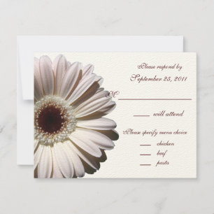 Gerbera Daisy Mariage/ Réponse