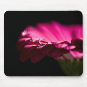 Gerbera Daisy mit Wassertropfen auf einem Petal Mousepad