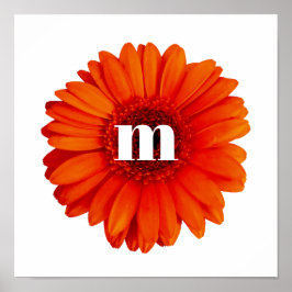 Gerbera Daisy Monogram Initial Poster