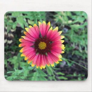 Gerbera Daisy Mouse Pad Mousepad