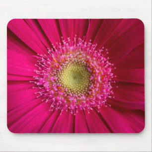 Gerbera Daisy Mouse Pad Mousepad
