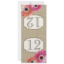 Gerbera Daisy Pink and Coral Tischnummer