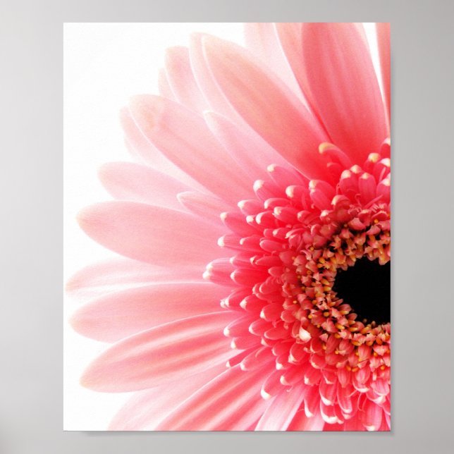 Gerbera Daisy Poster (Vorne)