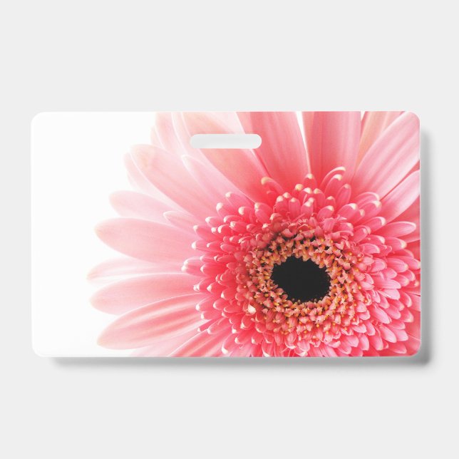Gerbera Daisy Poster Ausweis (Vorderseite)
