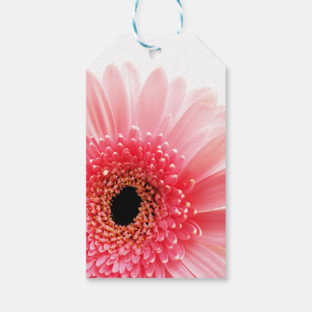 Gerbera Daisy Poster Geschenkanhänger (Rückseite)