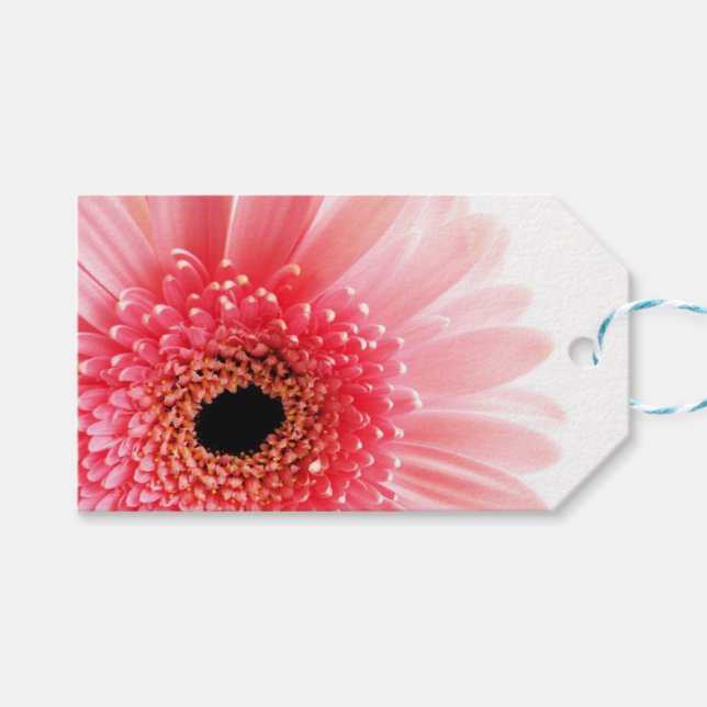 Gerbera Daisy Poster Geschenkanhänger (Vorderseite (Horizontal))